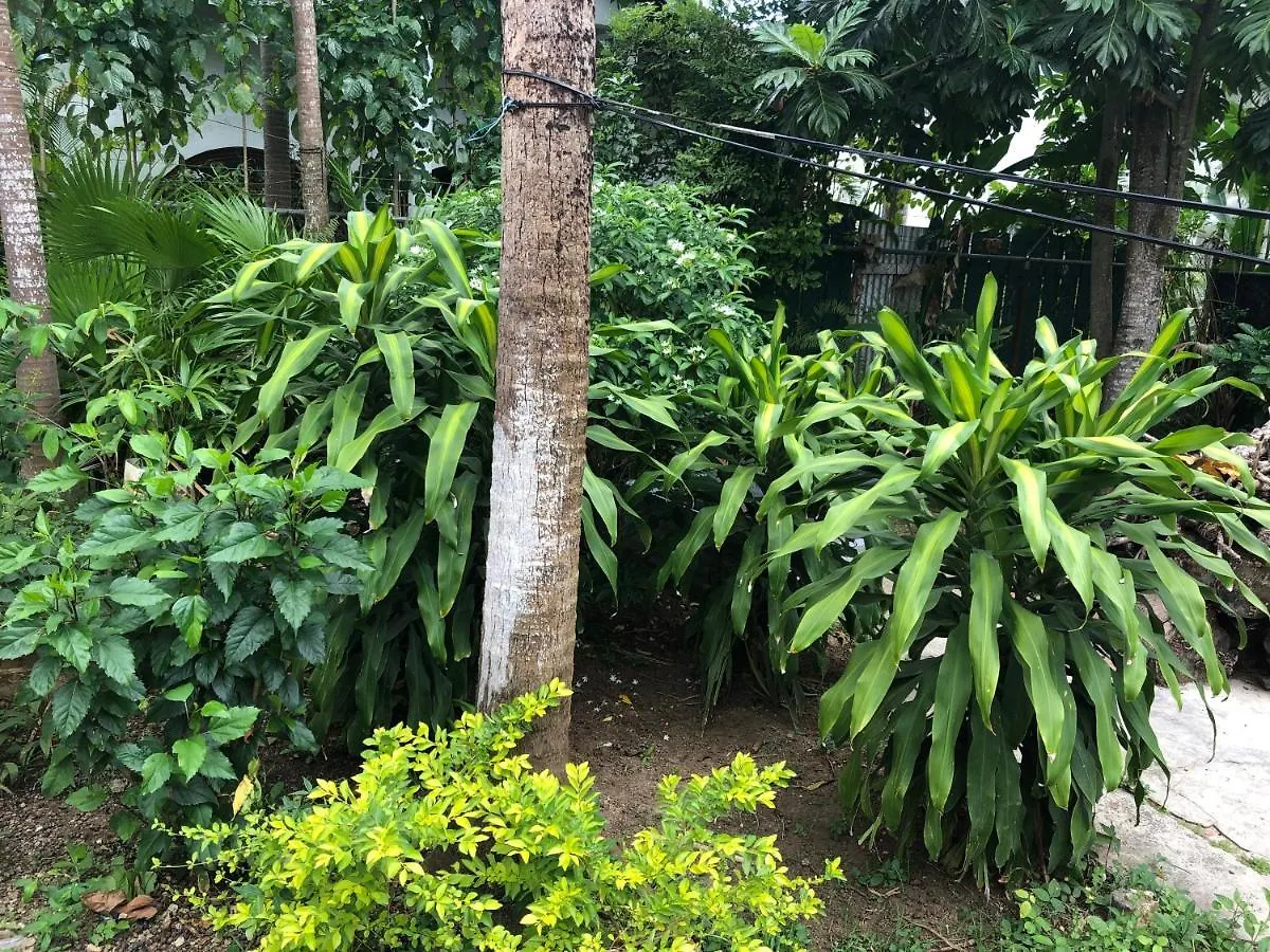 Pensjonat Negril Beachside Jamajka